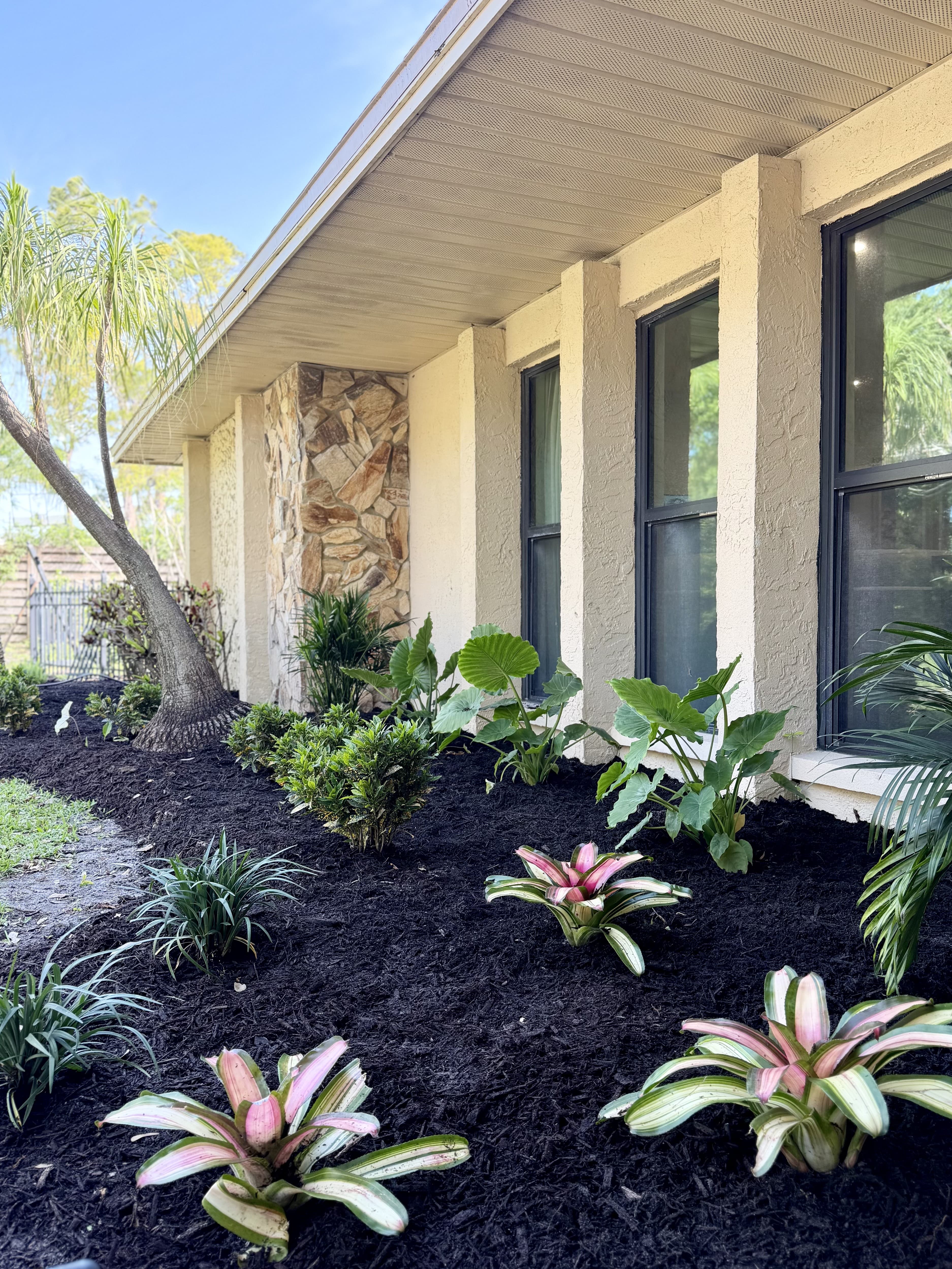 Palm & Tide front yard