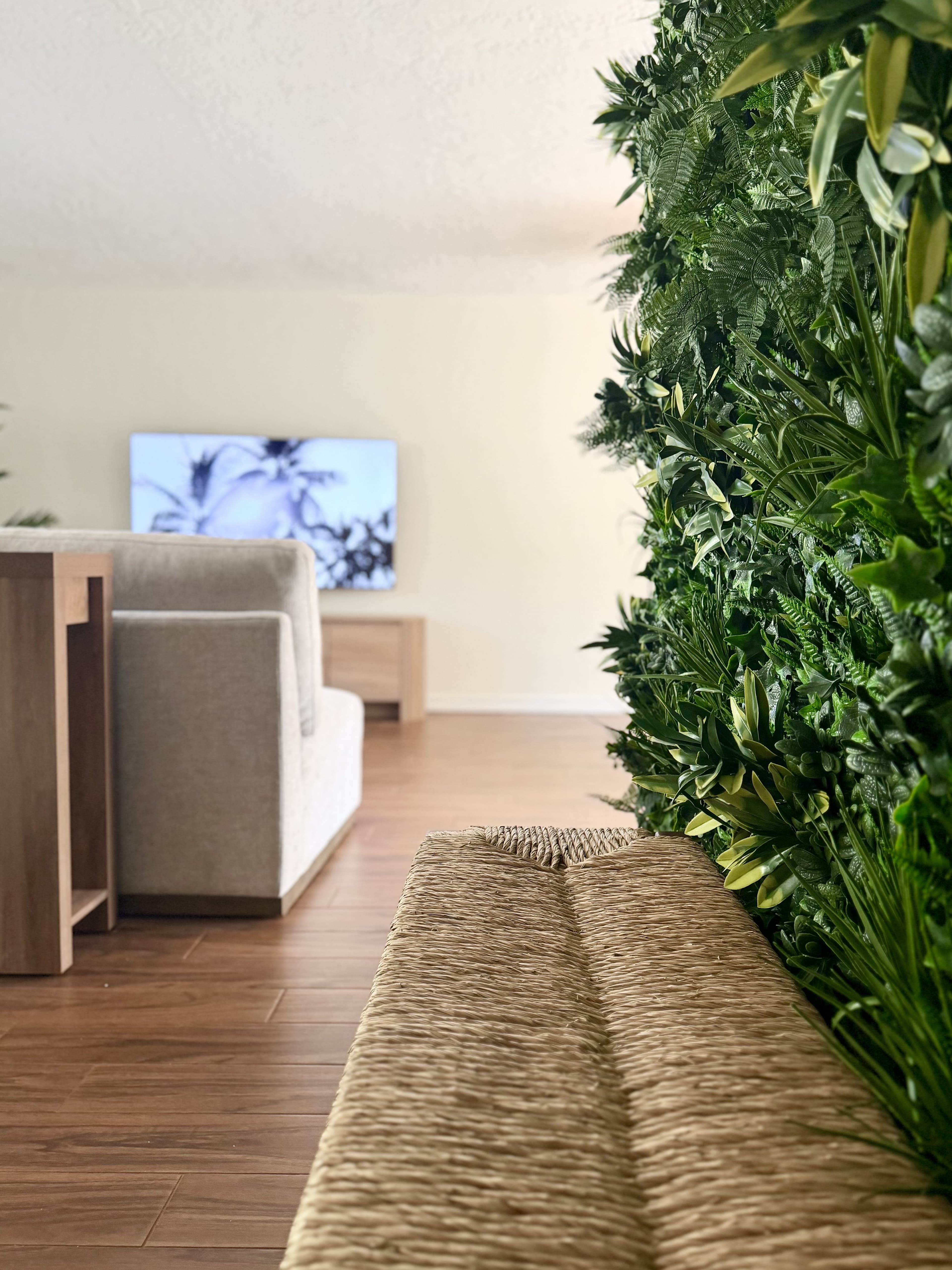 Palm & Tide living area