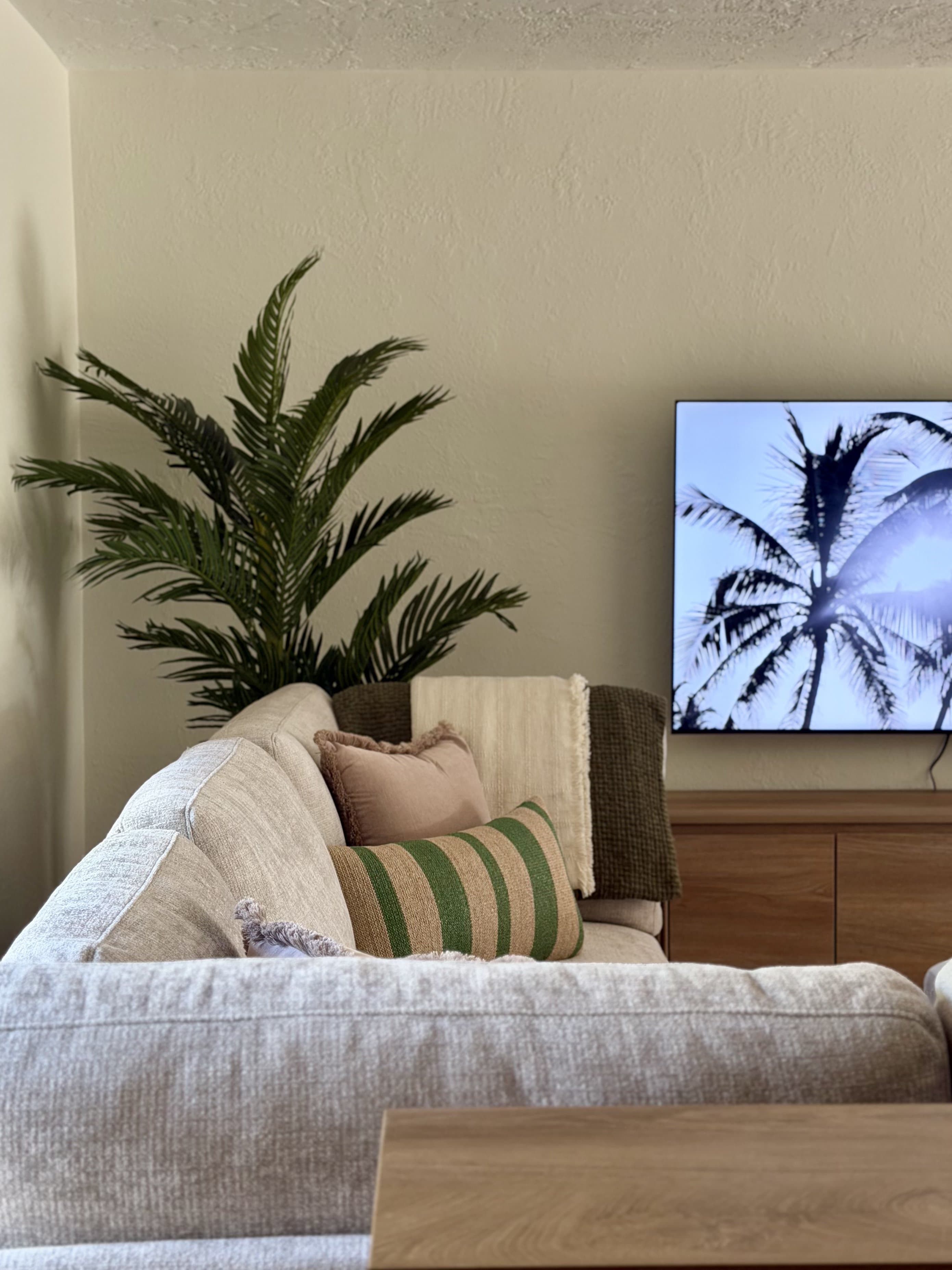 Palm & Tide living area